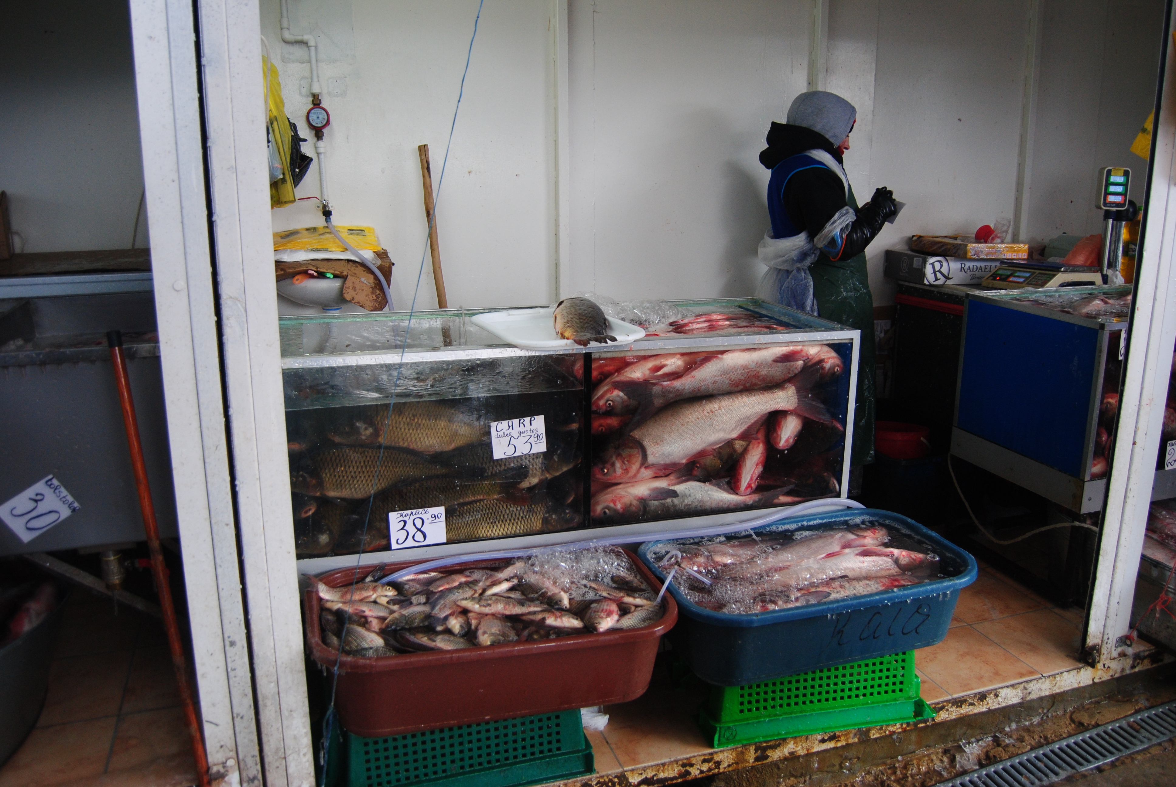 Mercado de pescado en Chisinau