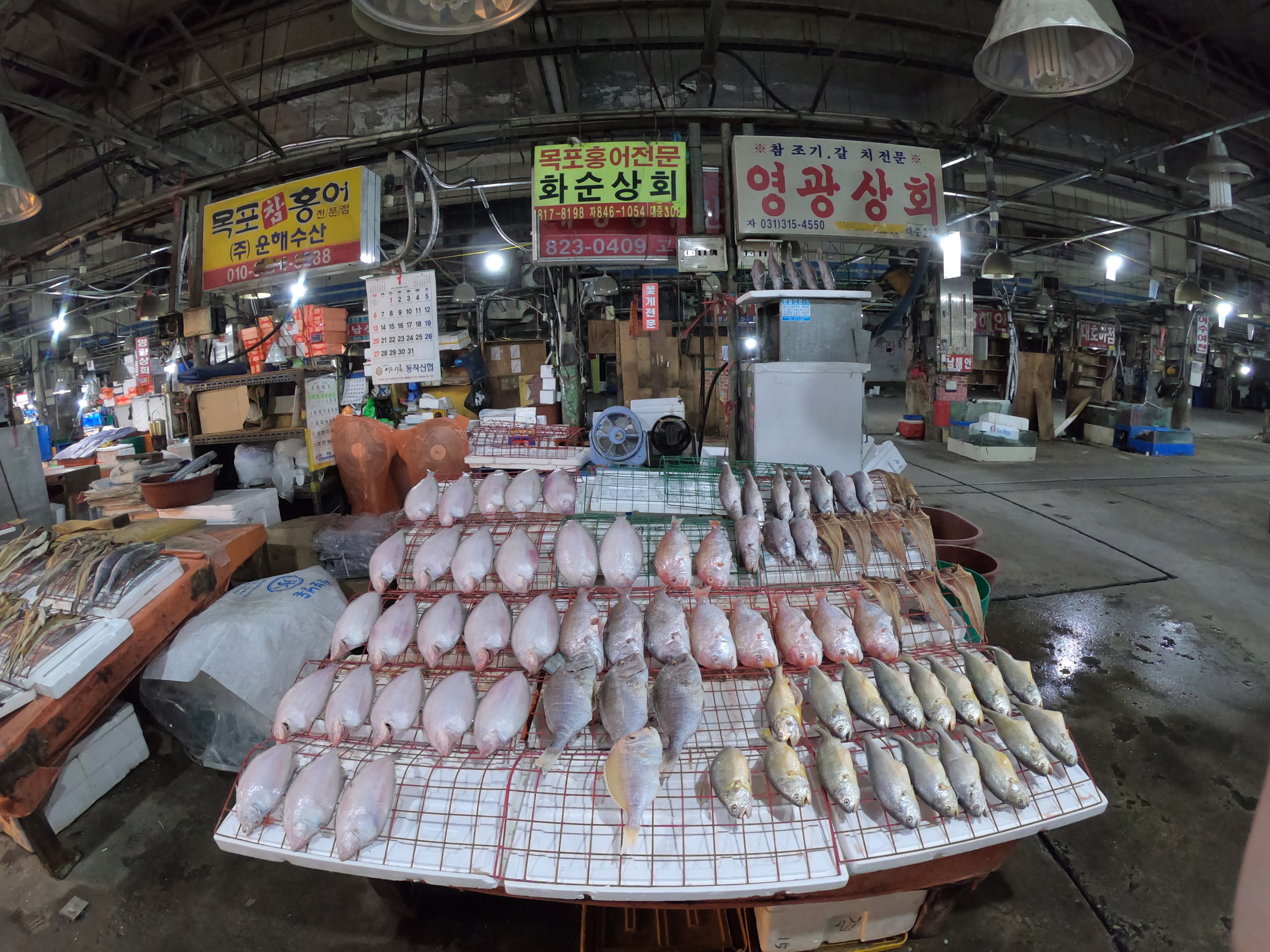parada de pescado en Noryangjing
