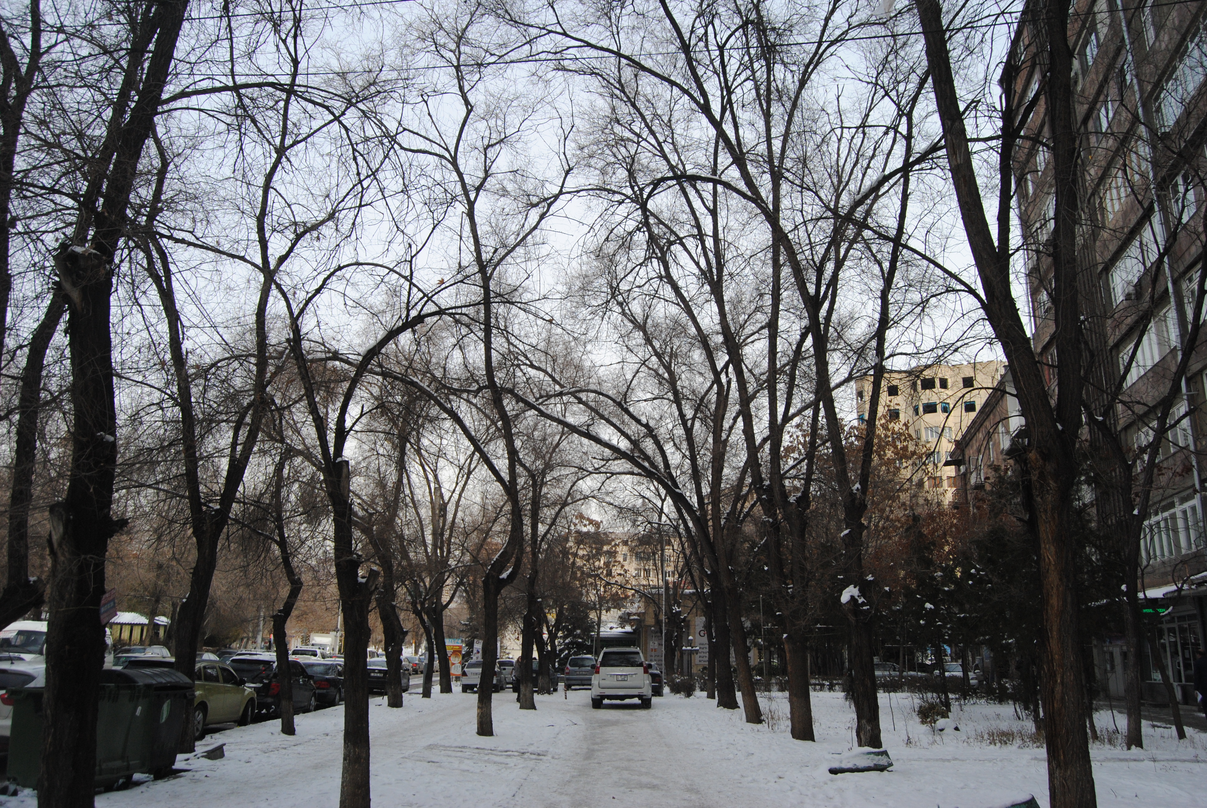 invierno en Ereván