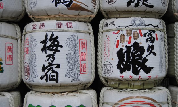 10 cosas que debes hacer en Japón