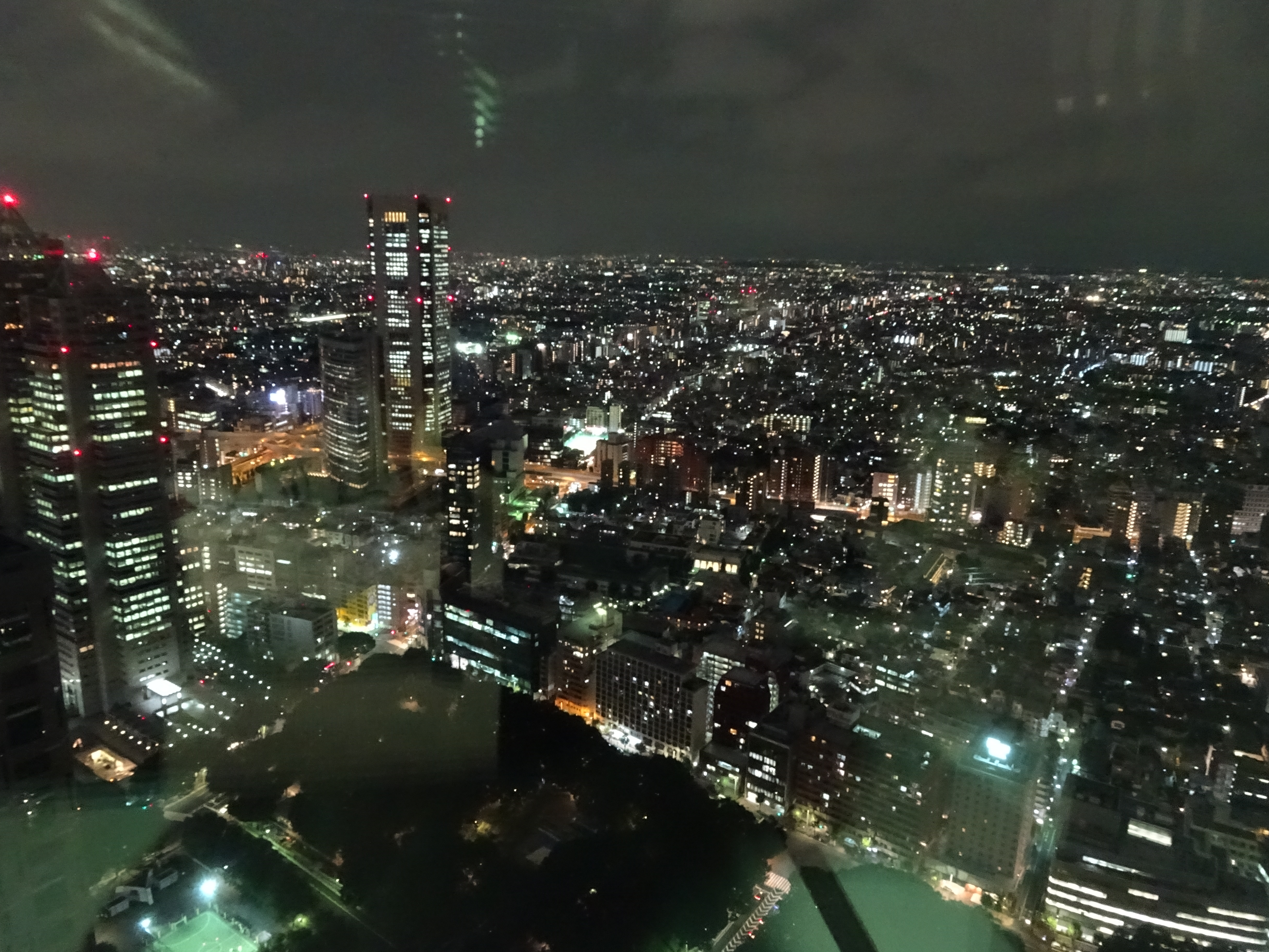 Vistas desde el Tokyo Metropolitan Building